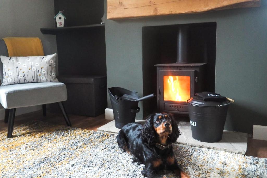 Fotografie z fotogalerie ubytování Large Cottage, Beach, Pubs Shops, Netflix, BBQ, Dog Friendly v destinaci Hunmanby