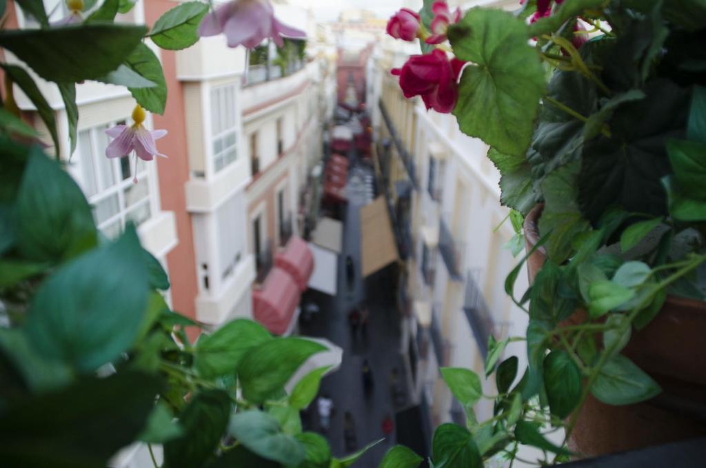 Hotel Plaza - Resim 35