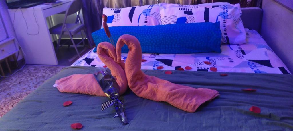 CMK TROIKA APARTMEN#Free Netflix - Suite Con Una Camera Da Letto