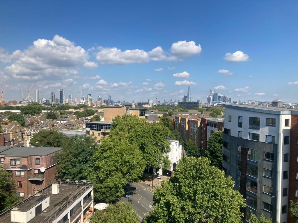 ロンドンにあるBright and spacious 1 bed flat in Camberwellの建物や木々が並ぶ市街の景色