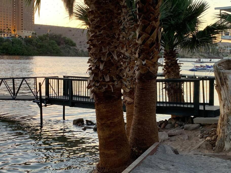 a couple of palm trees next to a body of water at Couples getaway in Bullhead City