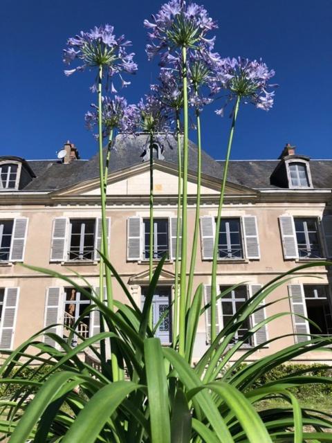 Fotografia z galérie ubytovania Superb Chateausuites with pool at the Loire & horseboxes for 20 guests v destinácii Poilly-lez-Gien