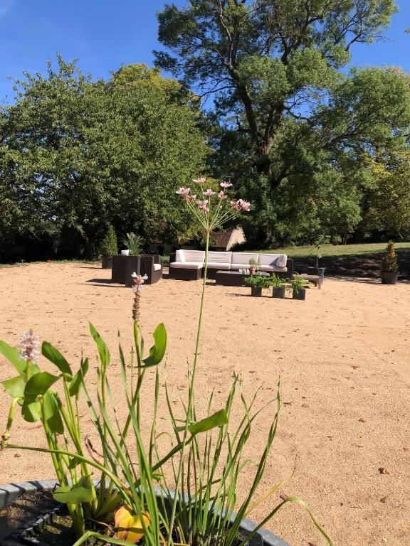 Fotografia z galérie ubytovania Superb Chateausuites with pool at the Loire & horseboxes for 20 guests v destinácii Poilly-lez-Gien