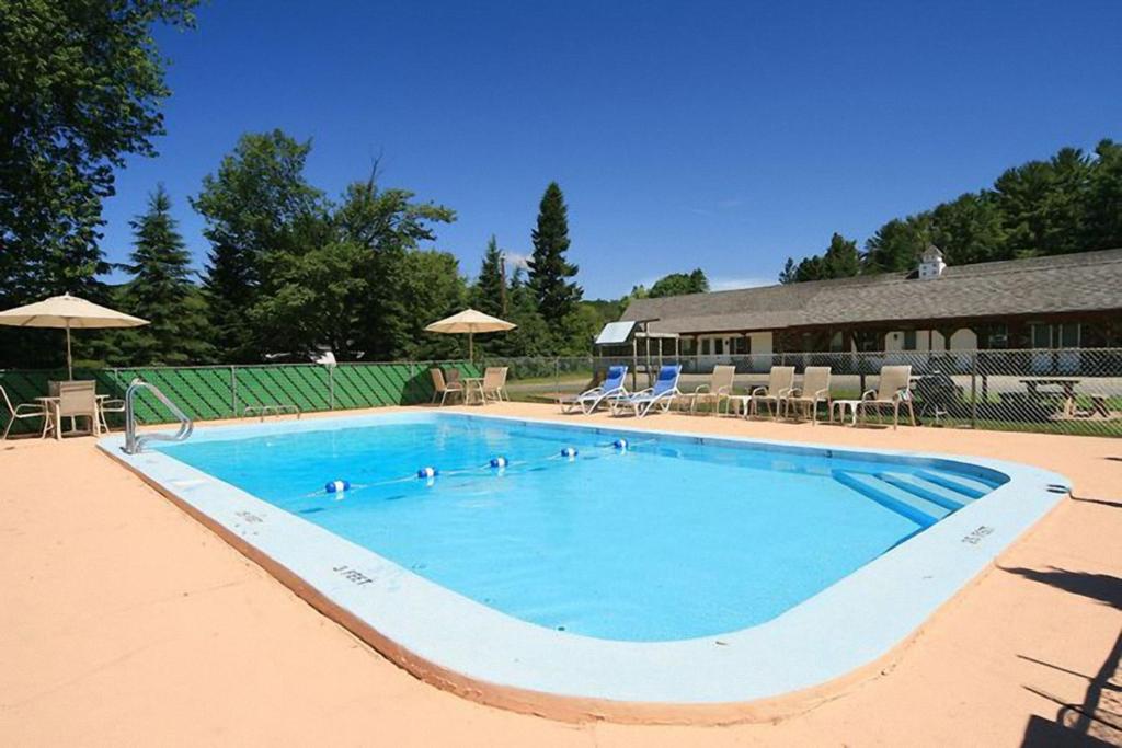 a large blue swimming pool with chairs and umbrellas at Maple Leaf Motel in Littleton