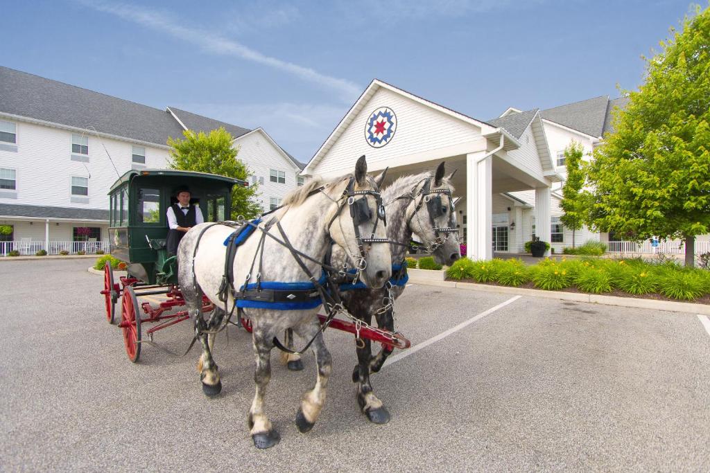two white horses pulling a carriage in front of a house at Blue Gate Garden Inn in Shipshewana