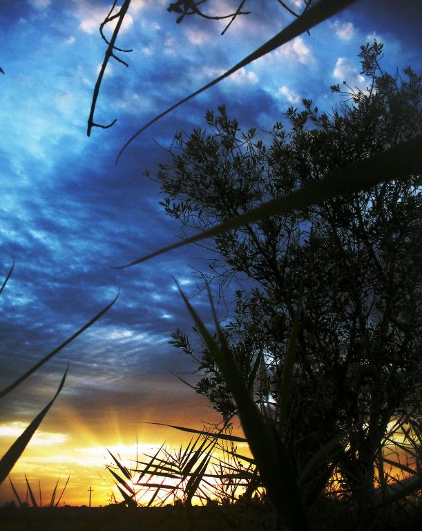 The sunrise or sunset as seen from a panziókat or nearby