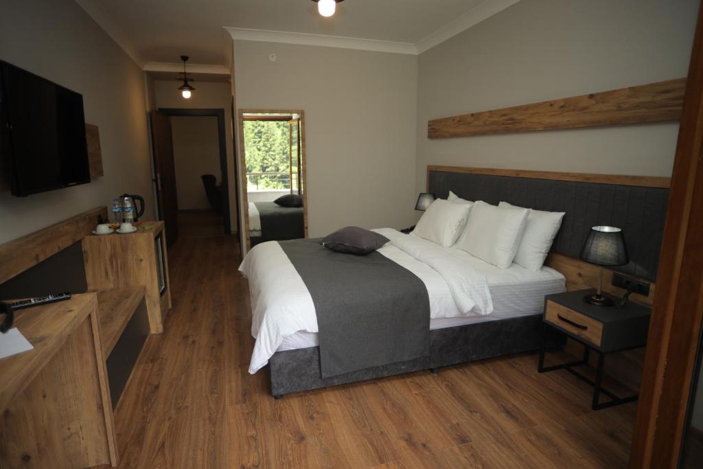 PAZARCIK MOUNTAIN HOTEL - 3