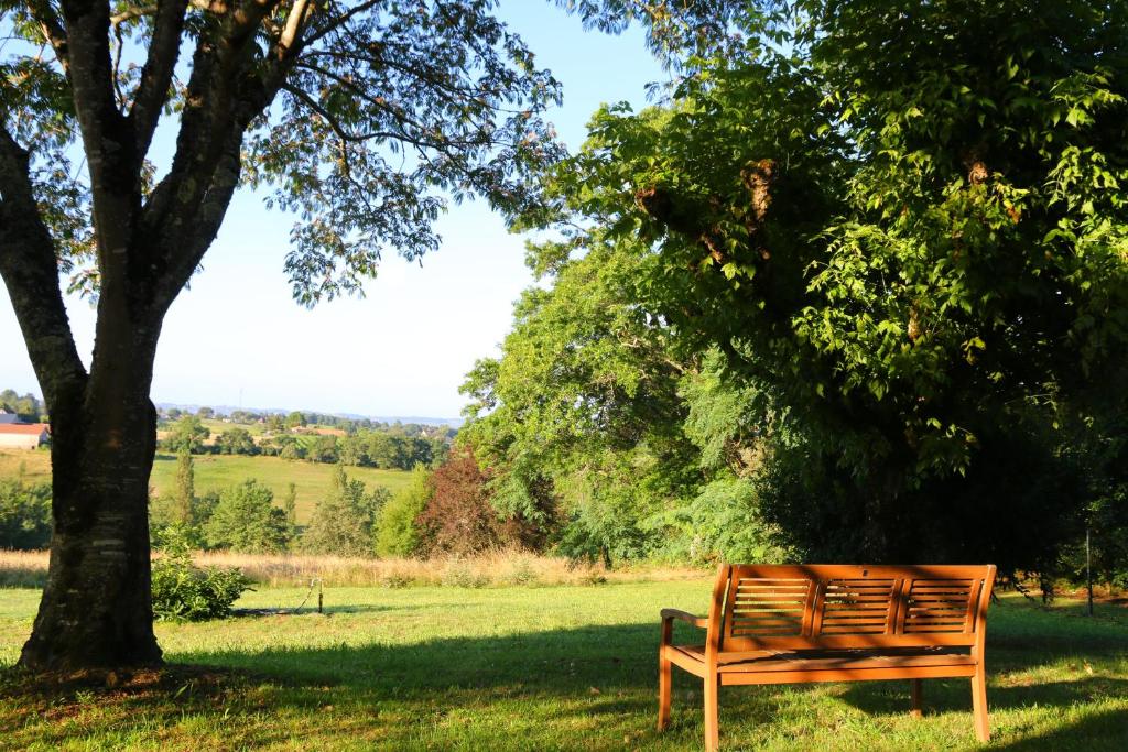 un banc en bois assis sous un arbre dans un champ dans l'établissement Gites Bel Air de Rosette, à Bergerac