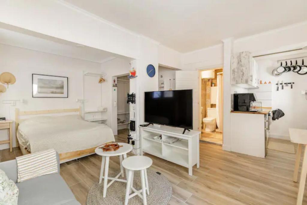 Televízia a/alebo spoločenská miestnosť v ubytovaní Lovely small (parterre) apartment in Thessaloniki