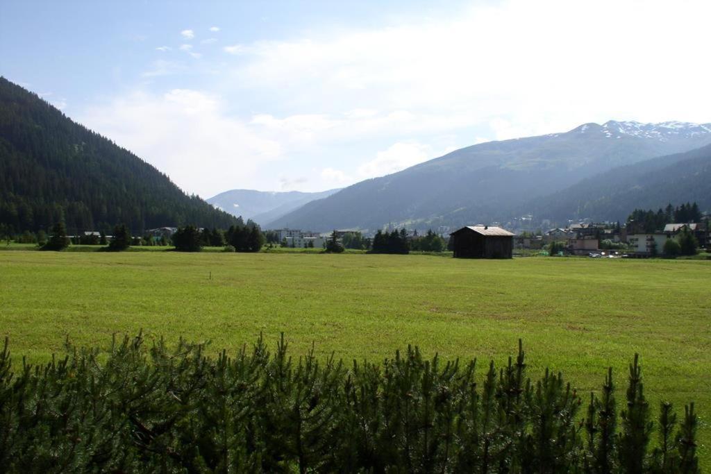 ein großes grünes Feld mit Bergen im Hintergrund in der Unterkunft U Köhler in Davos