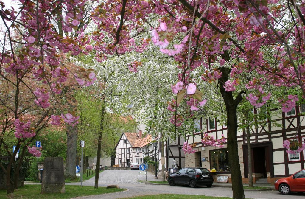 Okolí hotelu