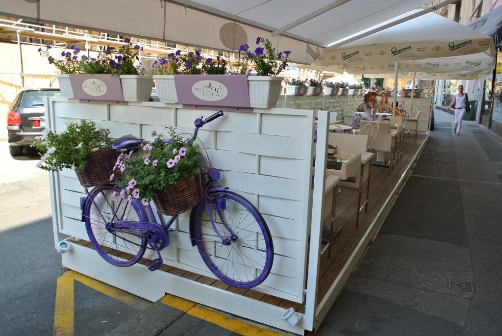 Jazda na bicykli v okolí ubytovania B&B Fotić