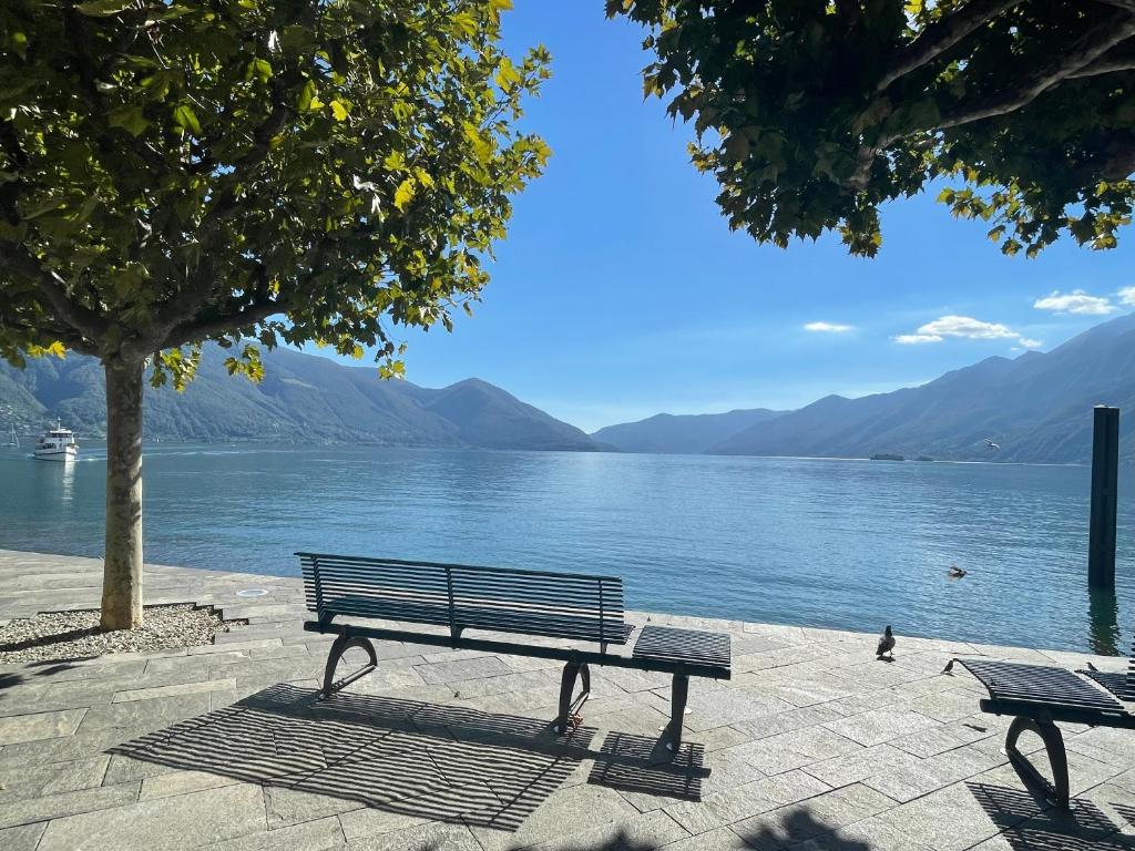 un banco del parque sentado junto a un cuerpo de agua en Ascona: Nostrana Apt. 2, en Ascona