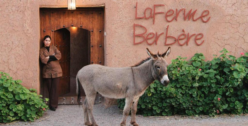 La Ferme Berbere — photo 2