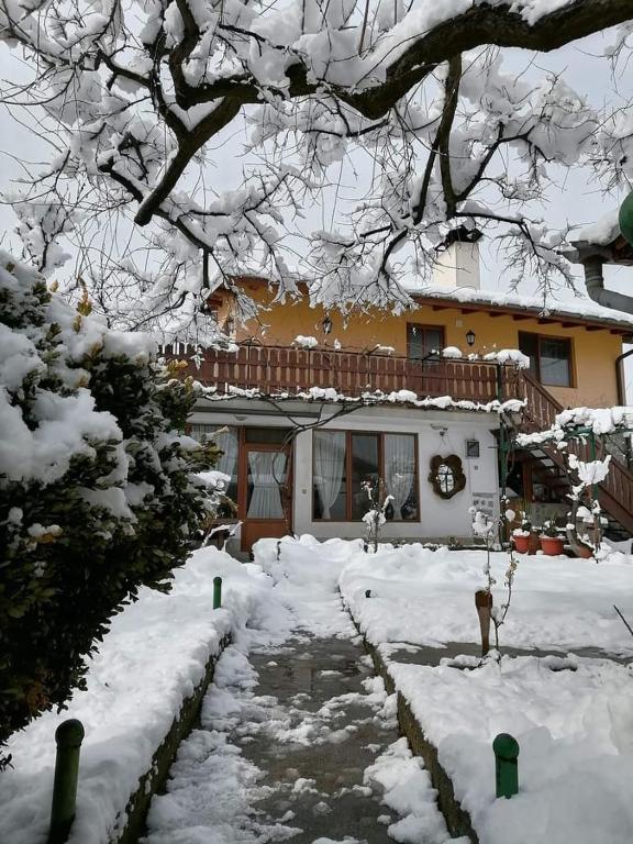 a house with a yard covered in snow at Къща за гости Градината in Dobrinishte