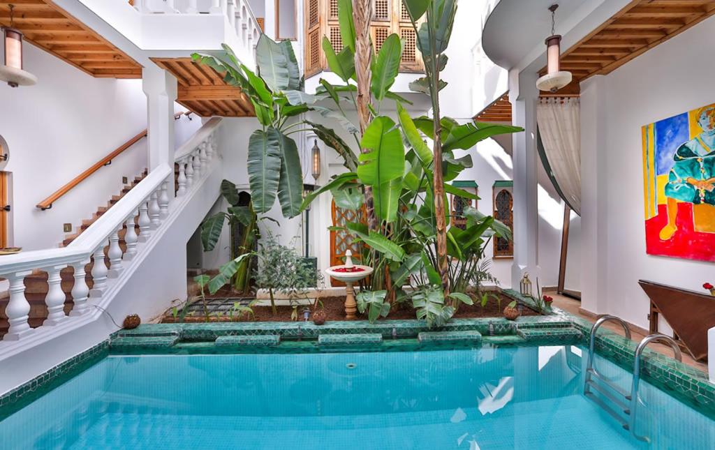 a swimming pool in a house with plants at Riad Moucharabieh Matisse in Marrakesh