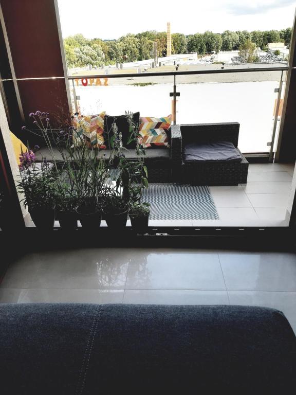 un salon avec un canapé et des plantes en pot dans l'établissement Apartament nad Wilgą, à Garwolin