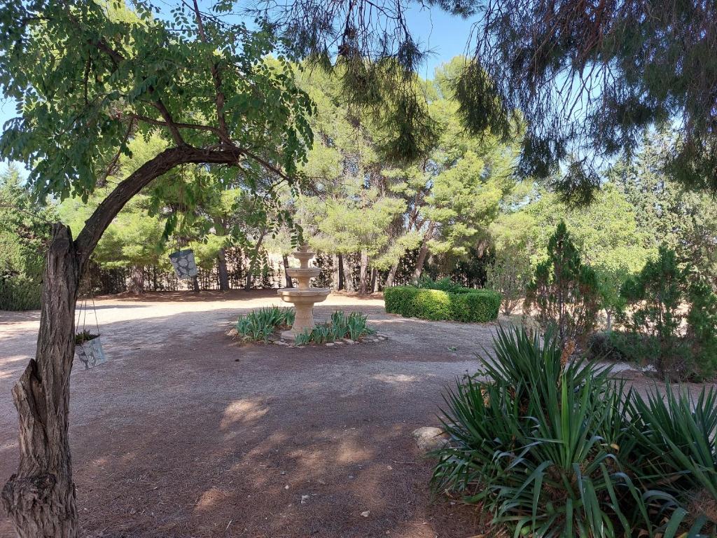un parco con una fontana in mezzo a un cortile di Casa Rural "La villa del pistacho" ad Archivel