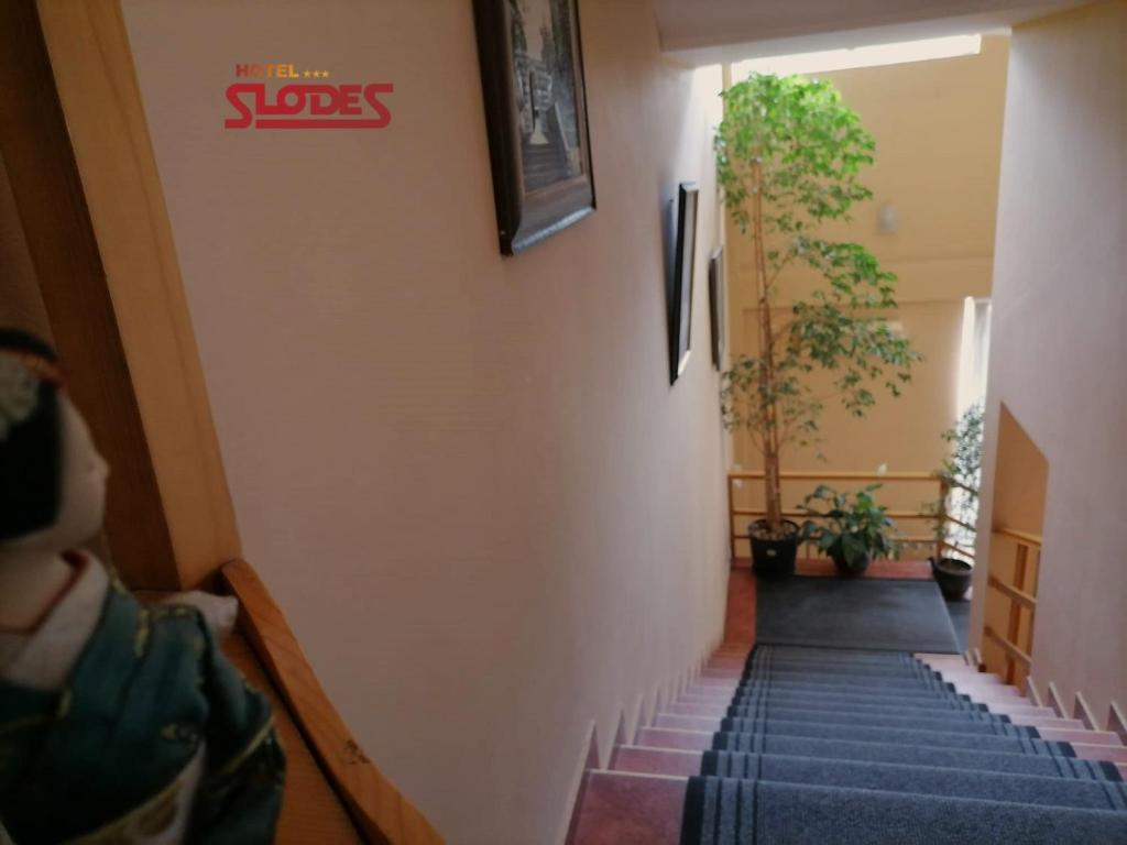 Hotel Slodes - Resim 34