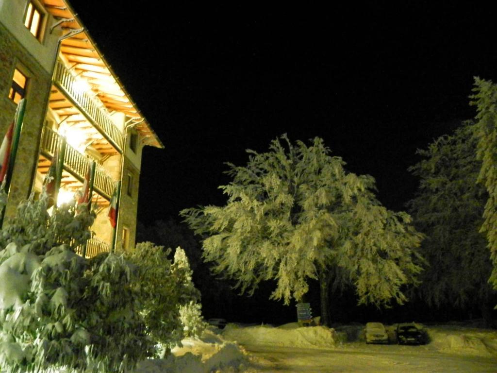 Zahrada ubytování Albergo Le Macinaie - Monte Amiata