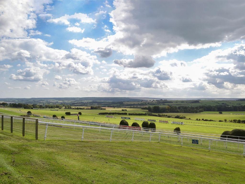a white fence in a green field with horses at The Racecourse Lodge in Hexham