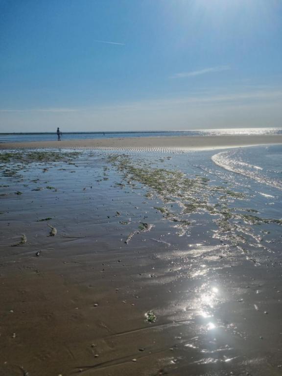 Meerblick Wattenmeer ,50m vom Meer,Strand 300m - Chalet Met Twee Slaapkamers