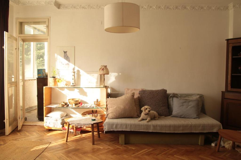 ein Wohnzimmer mit einer Couch mit einem Teddybär drauf in der Unterkunft Elie's Home in Warna