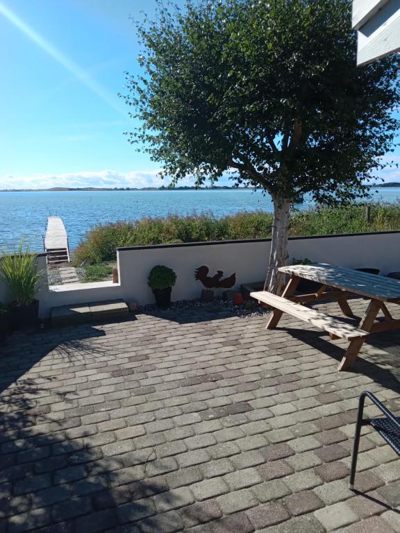 stół piknikowy i drzewo przy wodzie w obiekcie Strand Huset w mieście Fåborg
