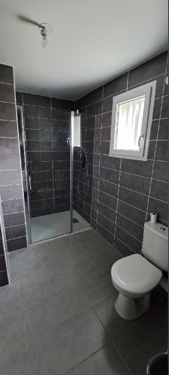 Koupelna v ubytování Appartements Barcelonette by PraLoup Vacances