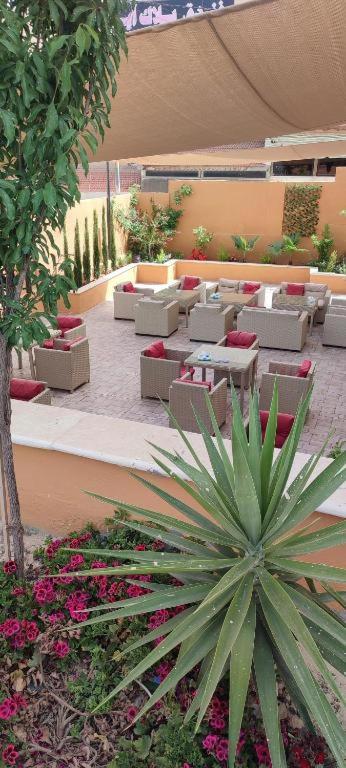 Fotografie z fotogalerie ubytování Black Iris Hotel II v destinaci Madaba