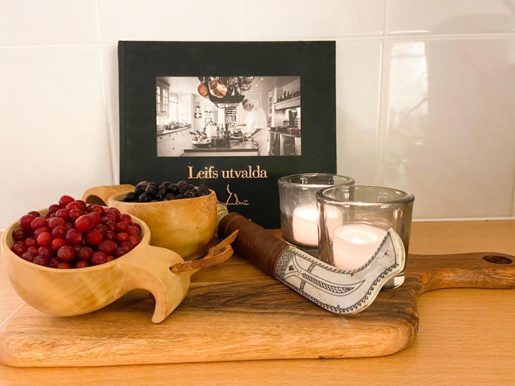 Fotografie z fotogalerie ubytování Frost Longstay Sundellsgatan 3 H v destinaci Haparanda
