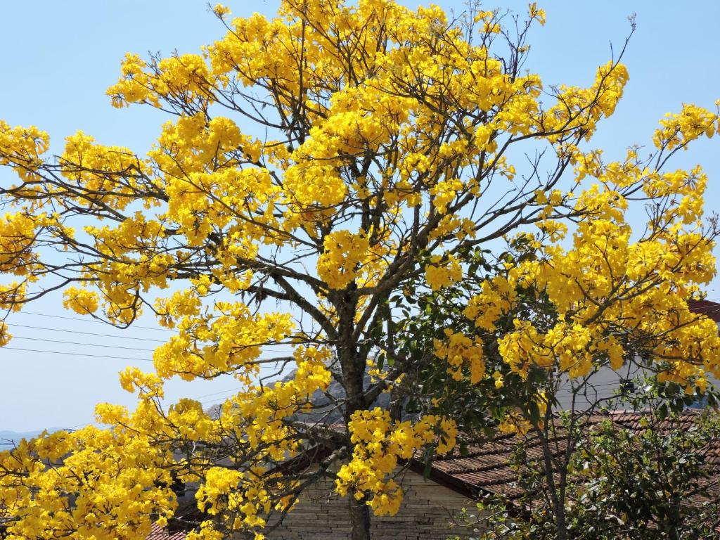  Pousada Casa da Serra