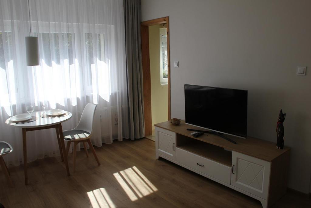 Televízia a/alebo spoločenská miestnosť v ubytovaní Przytulny, spokojny, wyposażony apartament