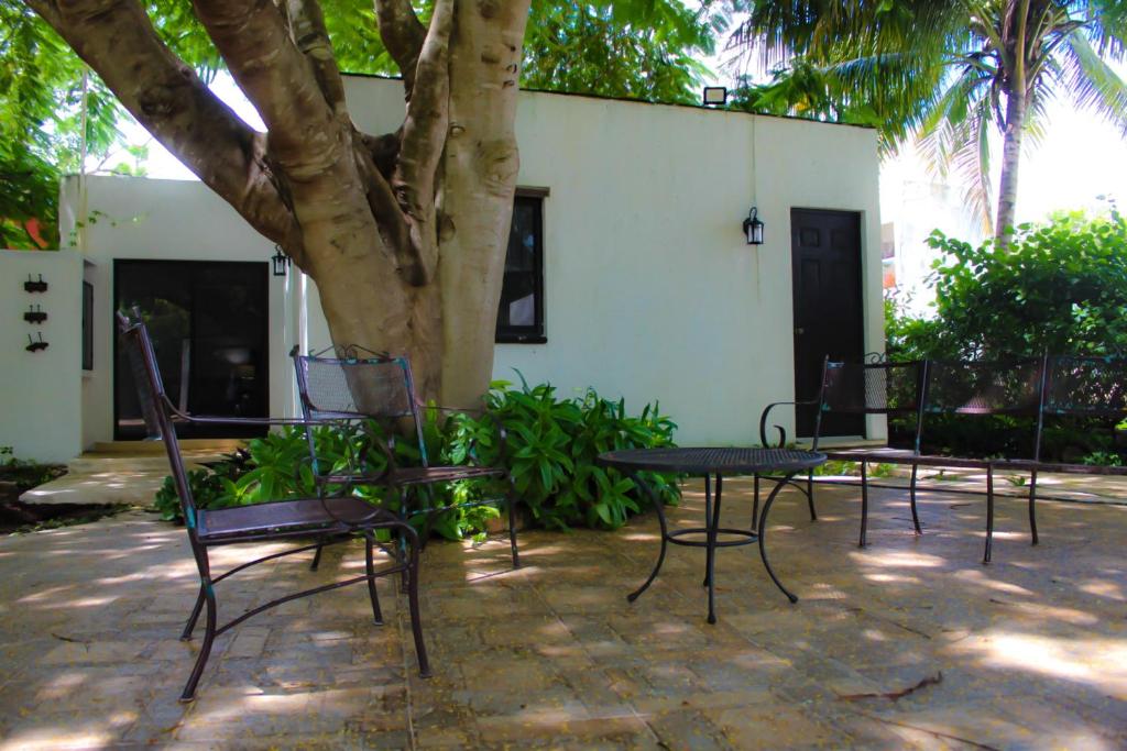 Casa del Flamboyan