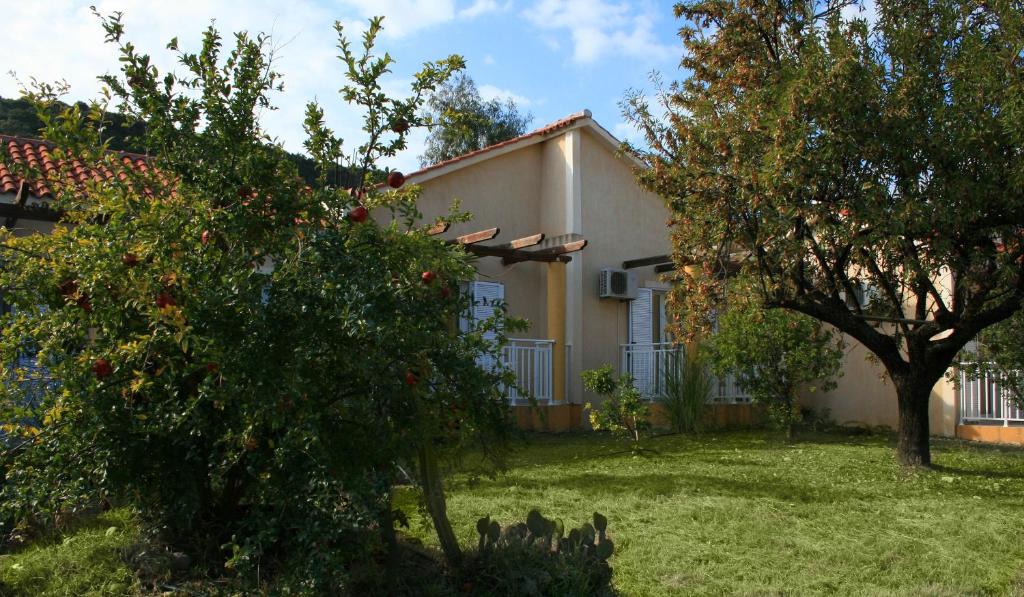 a house with an apple tree in the yard at Light House in Katelios