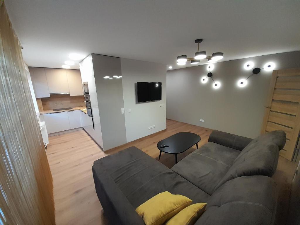 a living room with a couch and a kitchen at Vytės apartamentai in Kaunas