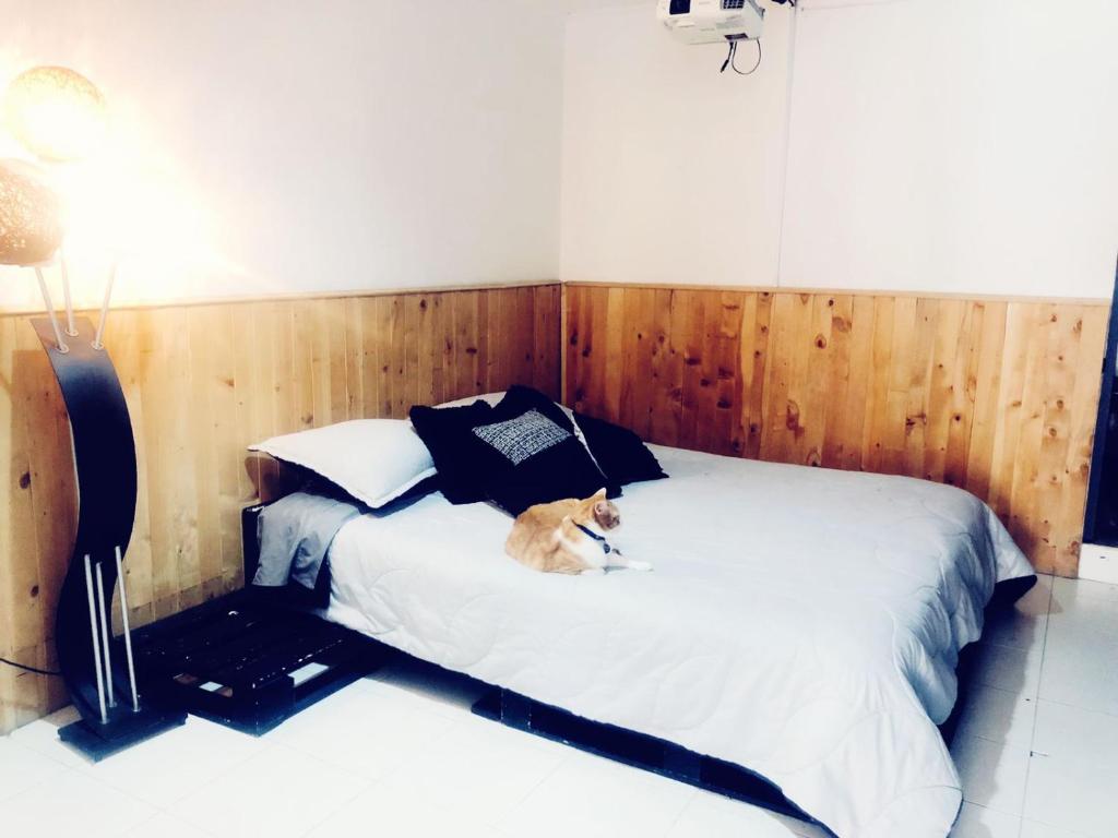 Postel nebo postele na pokoji v ubytování Casa Egos Pop Laureles