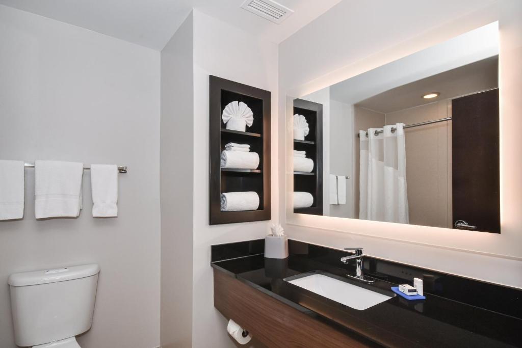 Holiday Inn Express Charlotte Southeast - Matthews by IHG - One Bedroom King Suite With Sofa Bed - Non-Smoking