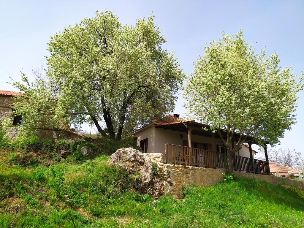 ein kleines Haus auf einem Hügel mit Bäumen davor in der Unterkunft Μικρή Ζήρεια Ενοικιαζόμενη Κατοικία in Synikia Mesi Trikalon