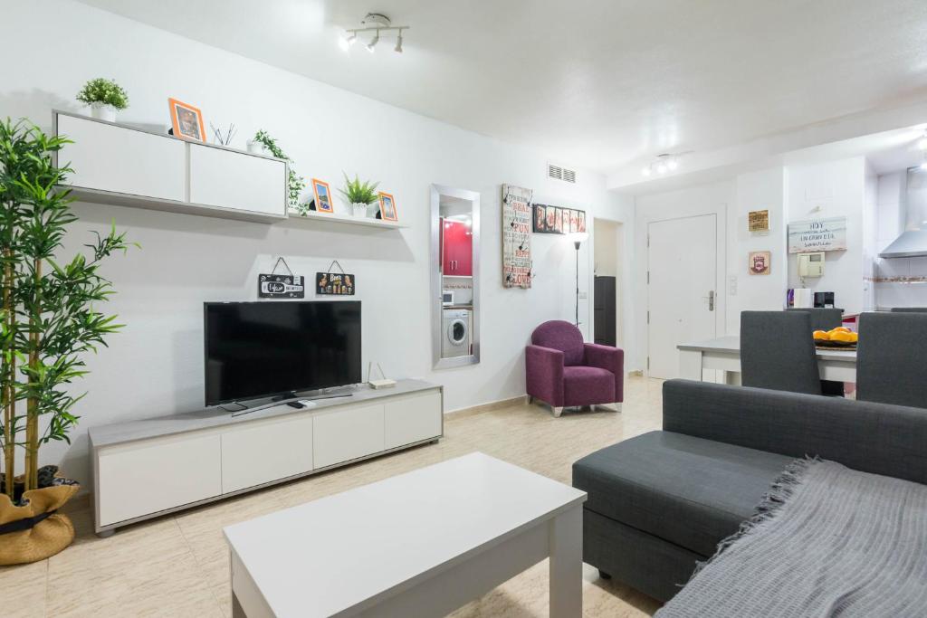 TV a/nebo společenská místnost v ubytování Apartamento Marqués de Ordoño