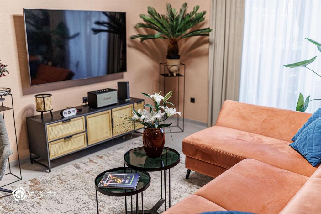 TV a/nebo společenská místnost v ubytování Zemplén Terrace - luxusapartman a belvárosban kültéri fedett jacuzzival