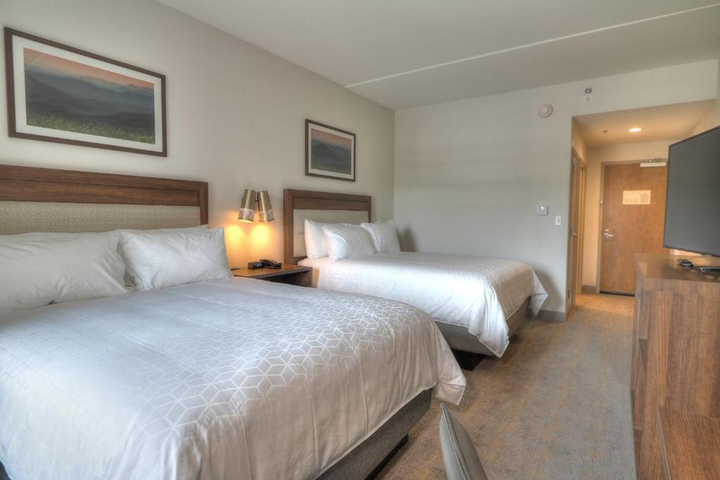Holiday Inn & Suites Pigeon Forge Convention Center, an IHG Hotel - 