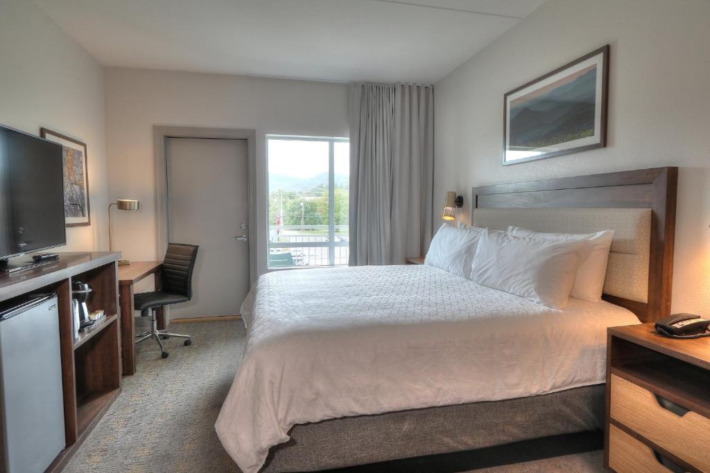 Holiday Inn & Suites Pigeon Forge Convention Center, an IHG Hotel - 