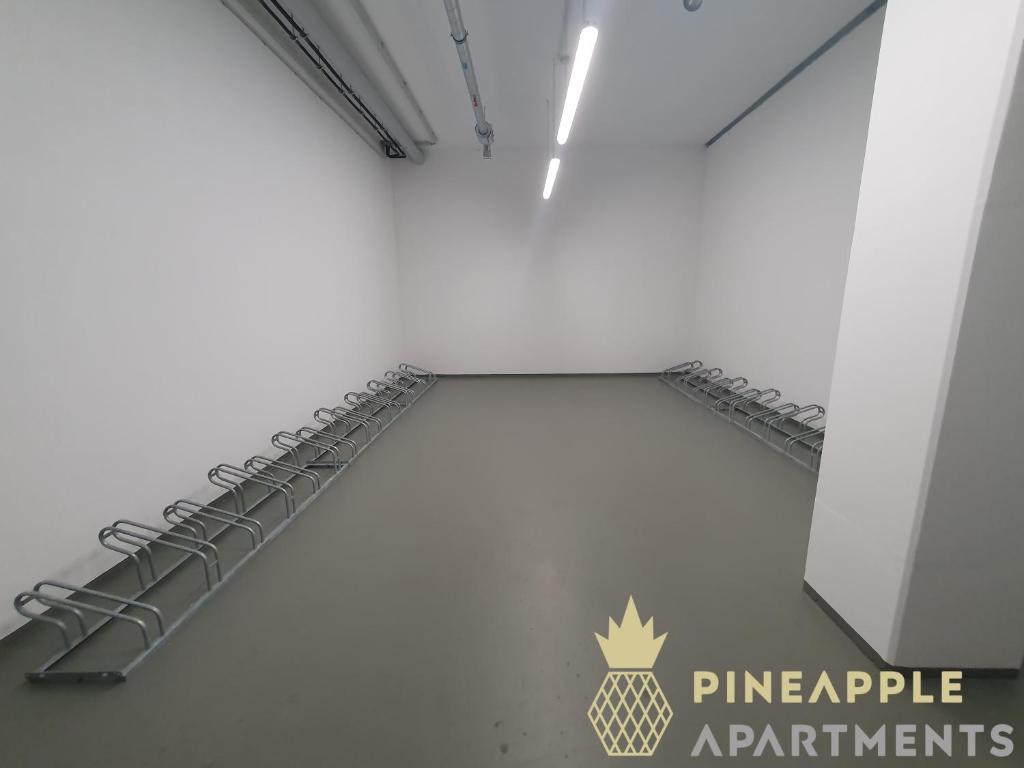 PINEAPPLE APARTMENTS - Altstadt III - 91qm - 1x free parking - 18