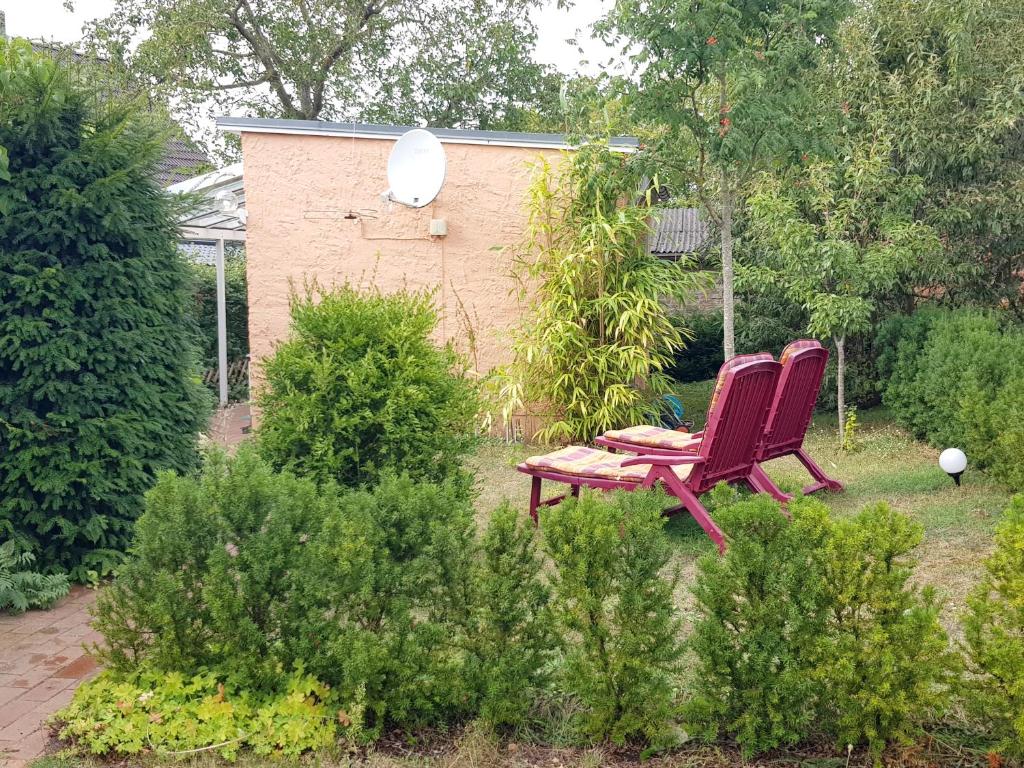 two red chairs and a table in a garden at Bungalow Toscana - 350m zum Strand in Ostseebad Koserow