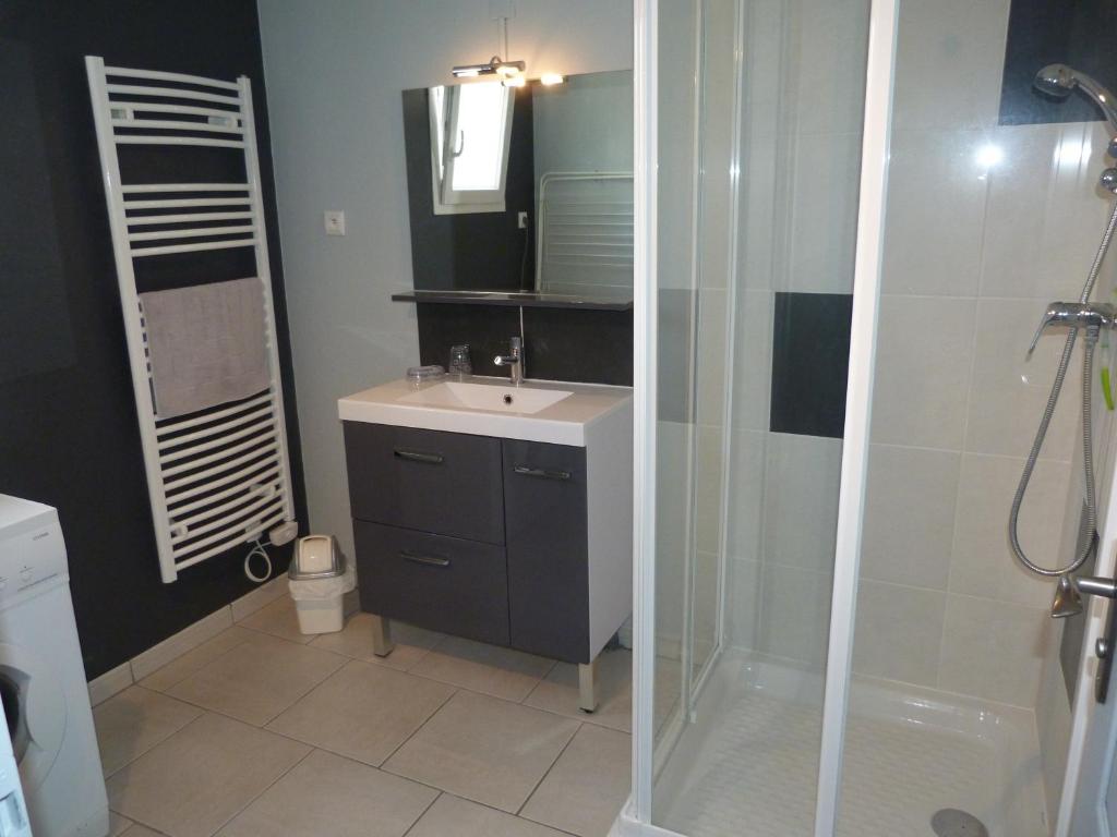 a bathroom with a sink and a shower at Les Gites De Colliers in Muides-sur-Loire