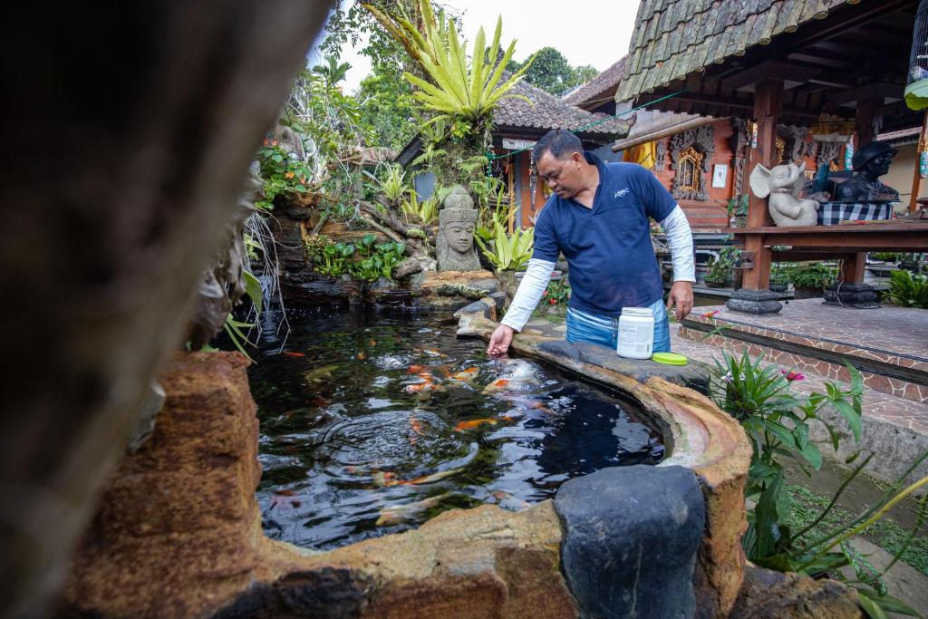 Hosté ubytování Pondok Nyoman Bedugul by AGATA