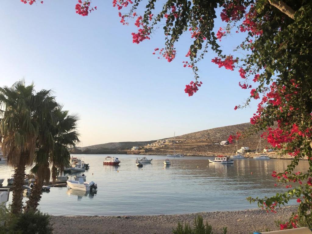 a group of boats in a body of water with a palm tree at Family house by the seaside of Karavostasis in Karavostasi