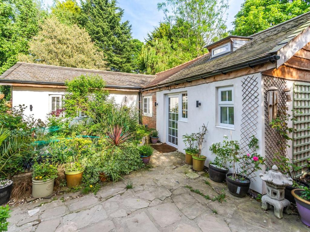 una casa con muchas plantas en el patio en The Little House In Hull, en Hull