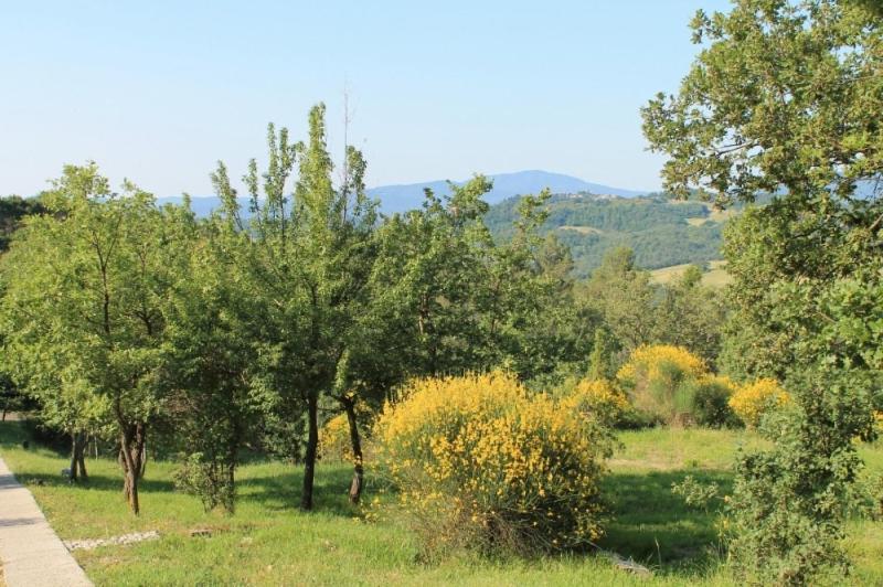 Príroda v okolí dovolenkového domu